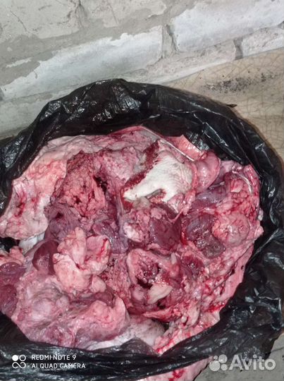 Обрезки для собак