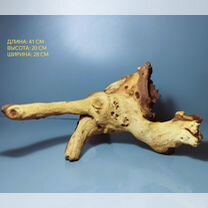 Коряга мопани *террариум *аквариум 41*28*20 вк309, Зеленоград