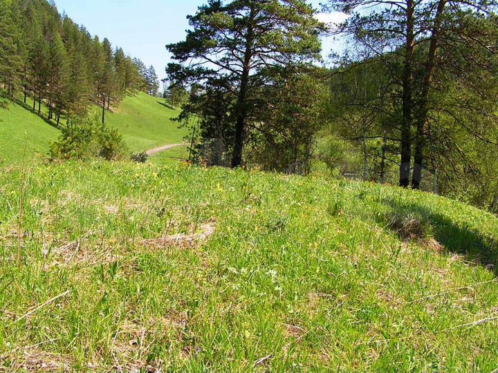 Участок 10,3 га (СНТ, ДНП)