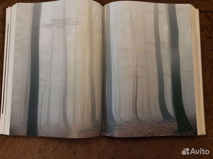 Справочное издание