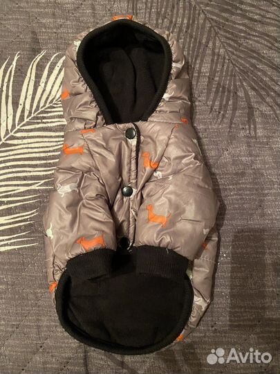 Одежда для маленьких собак