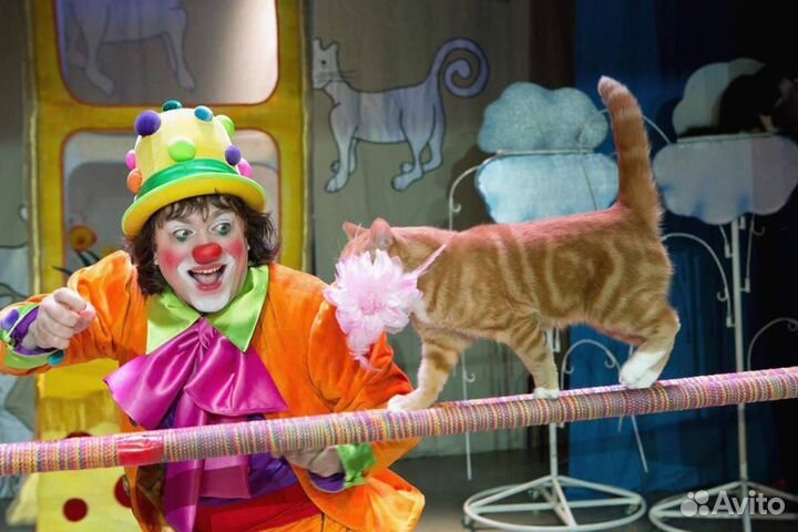 Билеты в театр Куклачёва