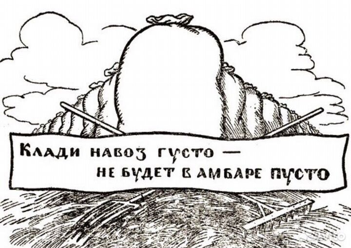 Конский навоз