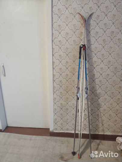 Беговые лыжи