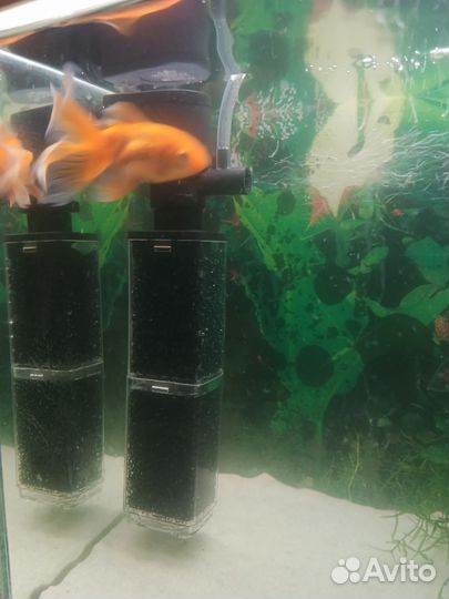 Аквариум с рыбками