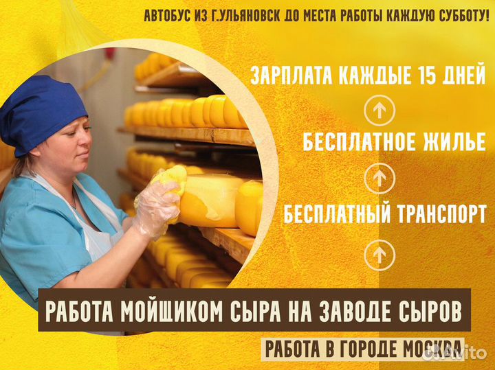 Вахта мойщик сыра