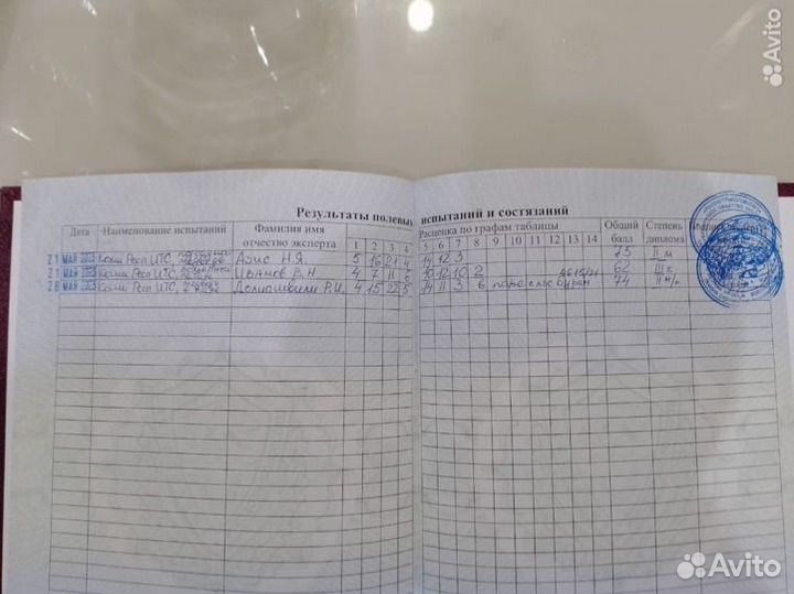 Западно сибирская лайка