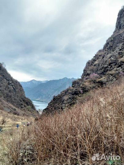 Горы Алтая (6 дневные туры) 7.08 три места