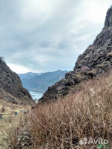 Горы Алтая (6 дневные туры) 7.08 три места