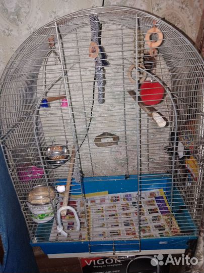 Большая клетка