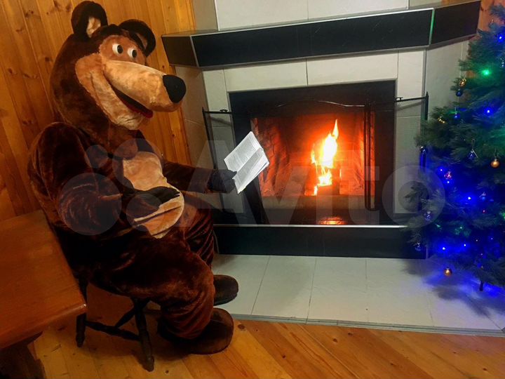 Дом 50 м² на участке 50 сот.