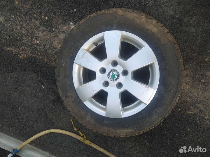 Rosava SnowGard 195/55 R15