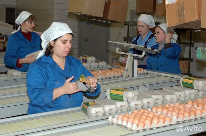 Вакансия на птицефабрику без опыта Челябинск