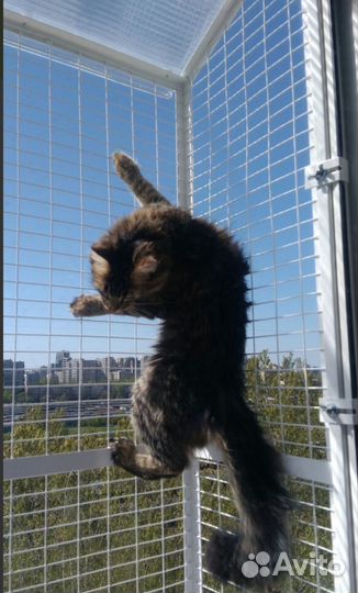 Балкон для кошек