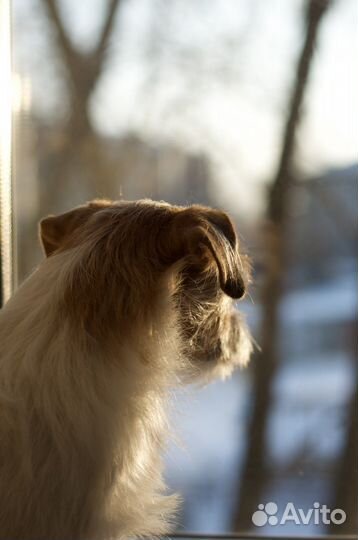 Объектив nikon 50mm f/1.4d af nikkor