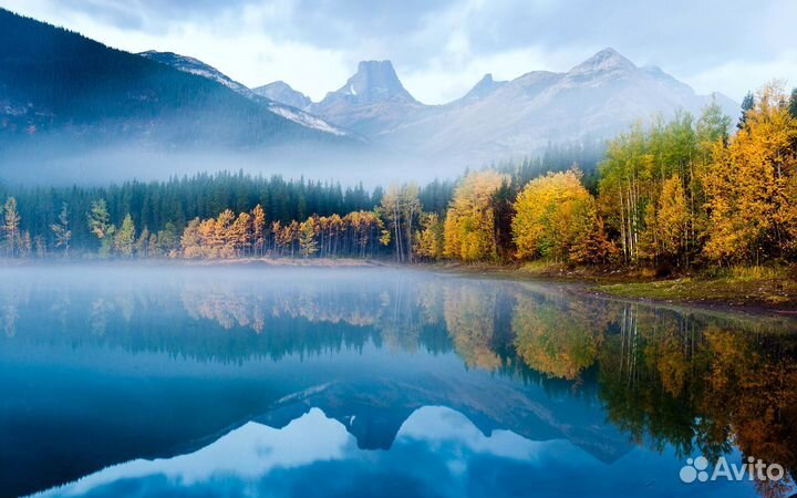 Фото картина на забор, дом, каркас