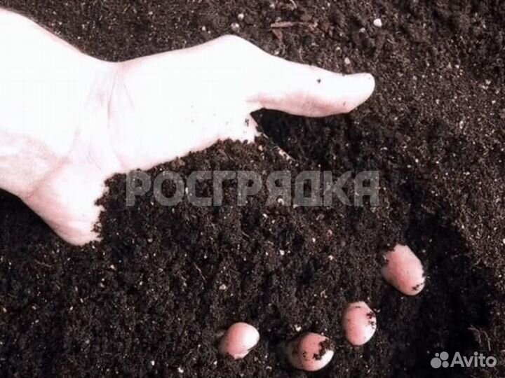 Почва из перегноя для рассады и много другого