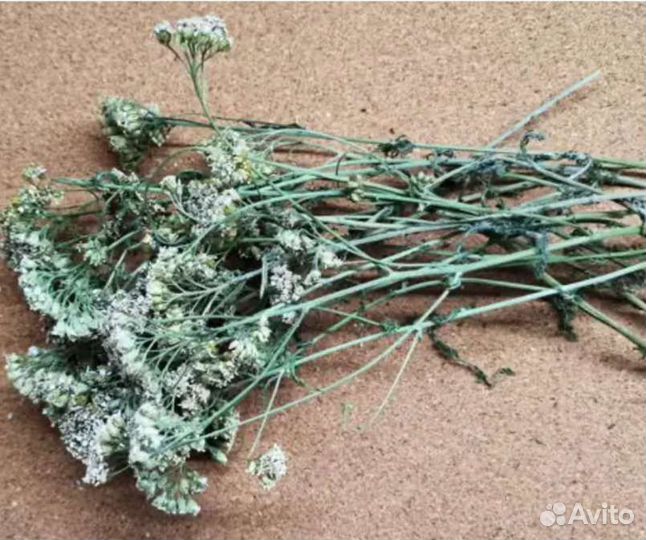 Травы для окуривания, магии, бани