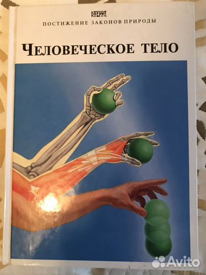 Книги «Постижение законов природы» Терра