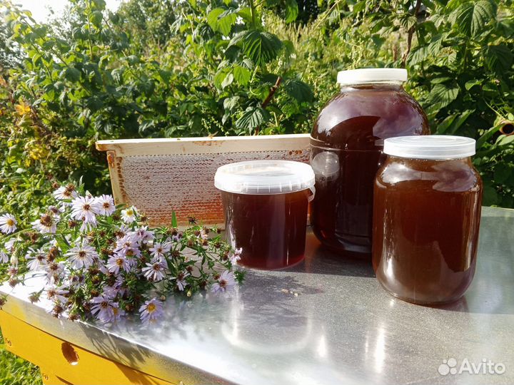 Продам мёд