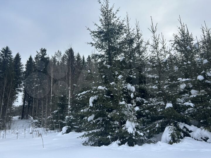 Участок 8 сот. (ИЖС)