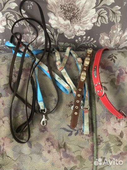 Одежда для средних собак