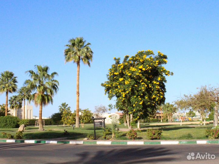 VIP-тур в г. Шарм-Эль-Шейх от 6 дн