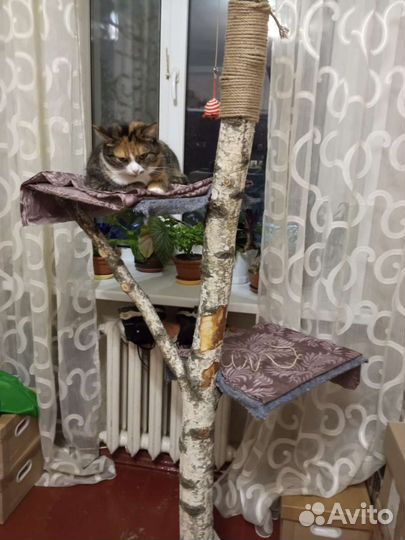 Домики для животных