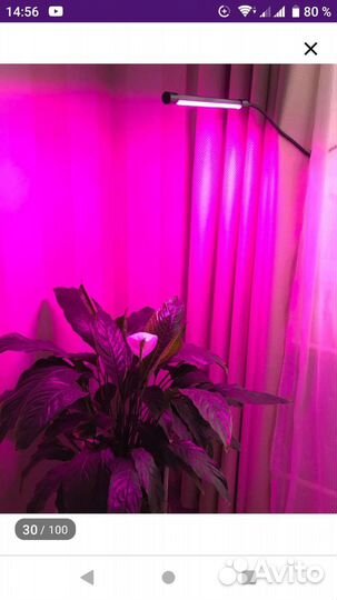 Фитосветильник для растений