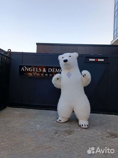Белый мишка поздравление, Белый медведь Саратов