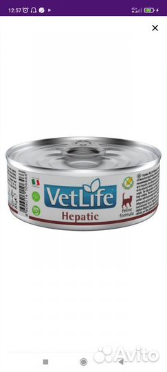 Корм для кошек