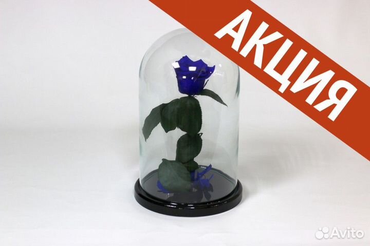 Подарок маме/ Роза в колбе опт