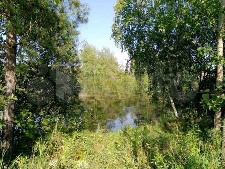 Участок 9,7 сот. (СНТ, ДНП)