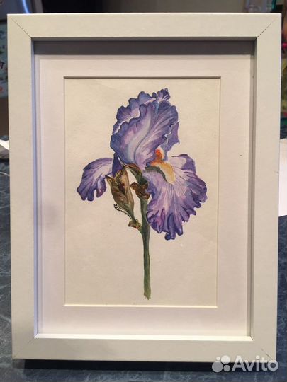 Картина акварель. Картины на заказ