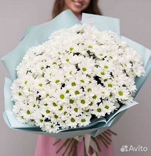 Хризантема. Букеты Цветы доставка