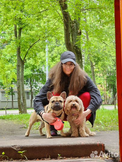 Зооняня/Передержка животных/Догситтер