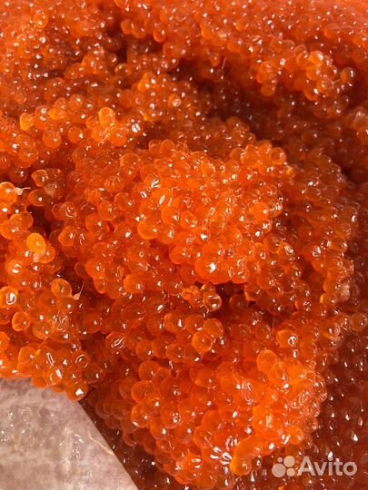 Икра горбуши оптом