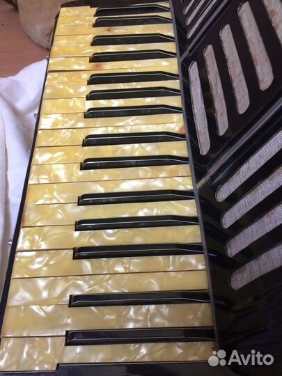 Аккордеон Zetco