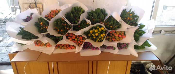 Тюльпаны оптом