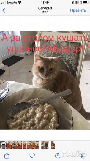 Стол