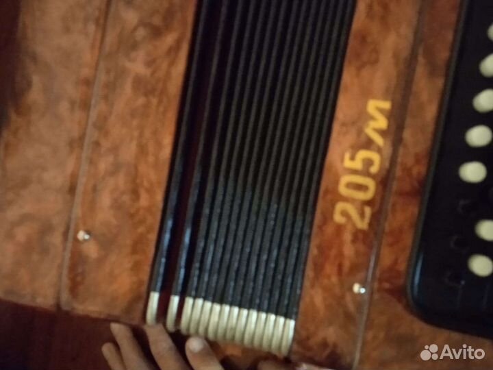 Баян Этюд 205м