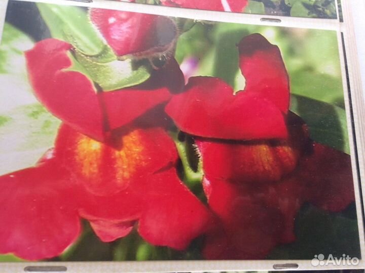 Принтер цветная и черная печать