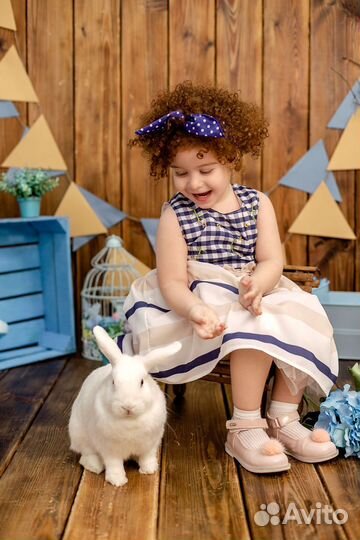 Фотосессия в студии с кроликом, ежиком