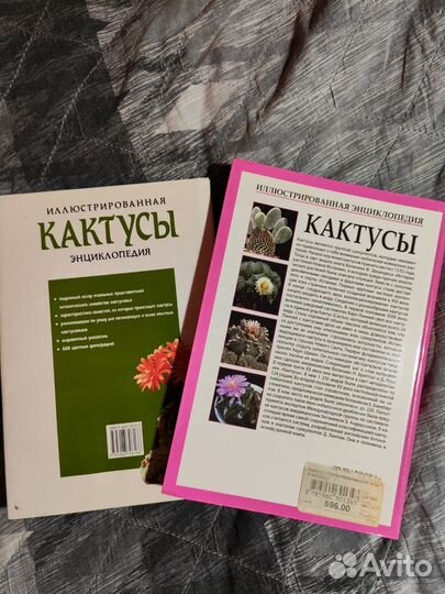 Энциклопедии кактусов