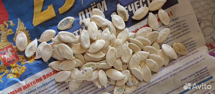 Семена тыквы