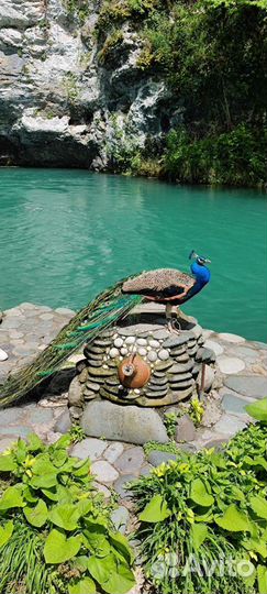 Жемчужины Абхазии. Тур на Инфинити