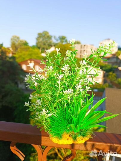 Компрессор для аквариума и искусственное растение