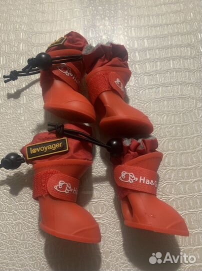 Обувь для средних собак