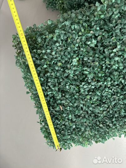 Искуственная трава самшит