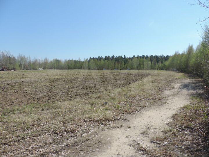 Участок 2 га (СНТ, ДНП)